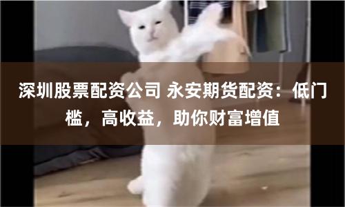 深圳股票配资公司 永安期货配资：低门槛，高收益，助你财富增值