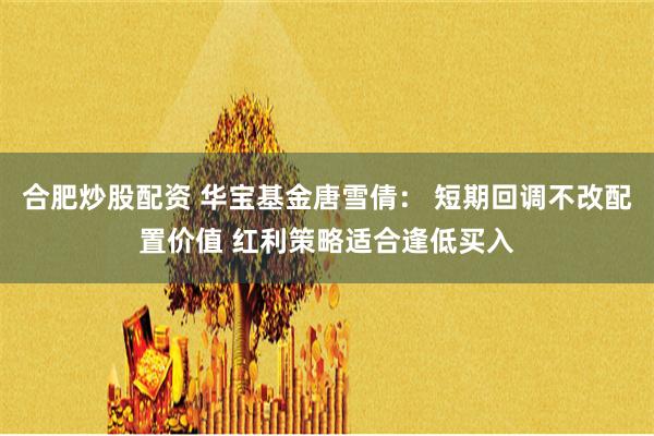 合肥炒股配资 华宝基金唐雪倩： 短期回调不改配置价值 红利策略适合逢低买入