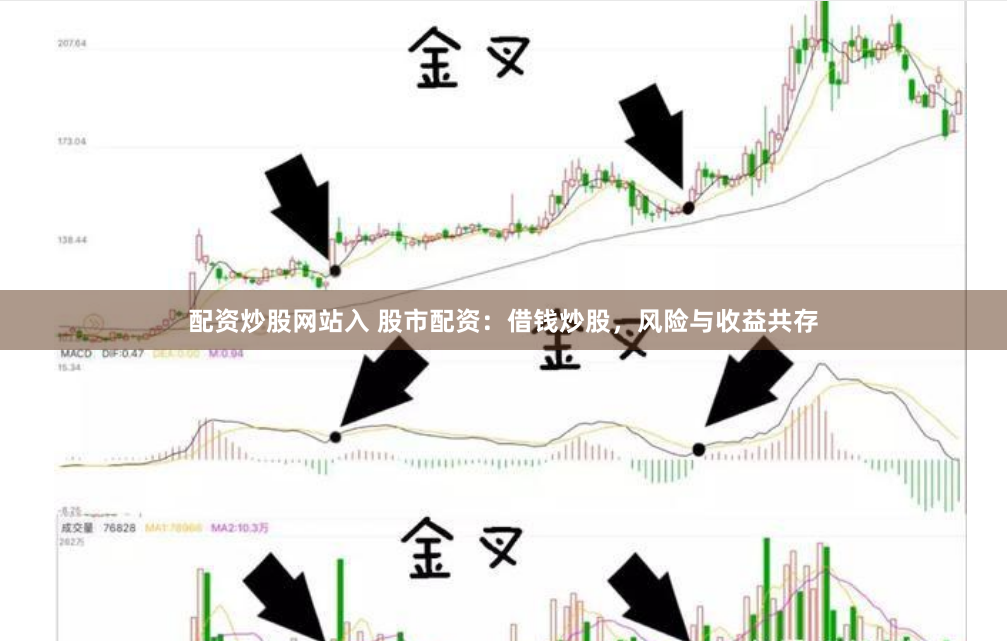 配资炒股网站入 股市配资：借钱炒股，风险与收益共存