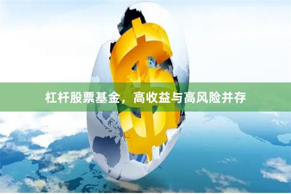 杠杆股票基金，高收益与高风险并存