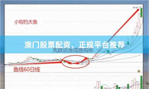 澳门股票配资，正规平台推荐