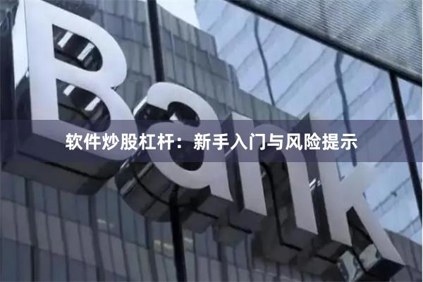 软件炒股杠杆：新手入门与风险提示