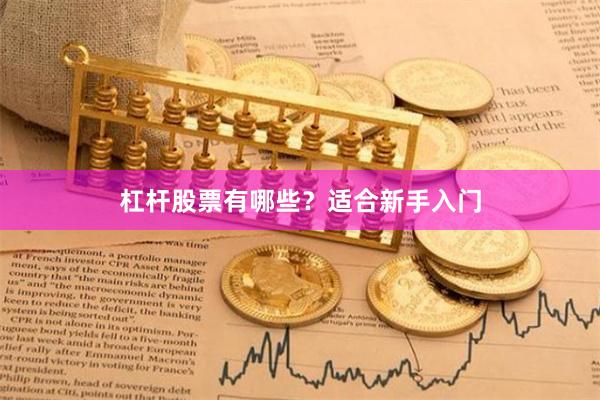 杠杆股票有哪些？适合新手入门